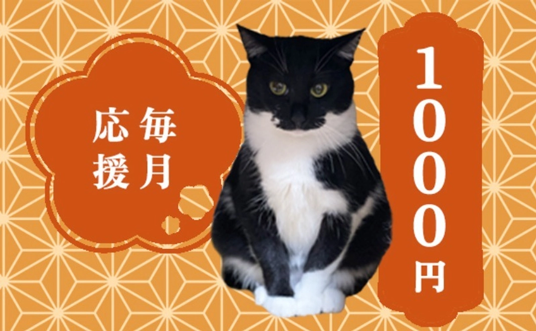 毎月応援1000円コース