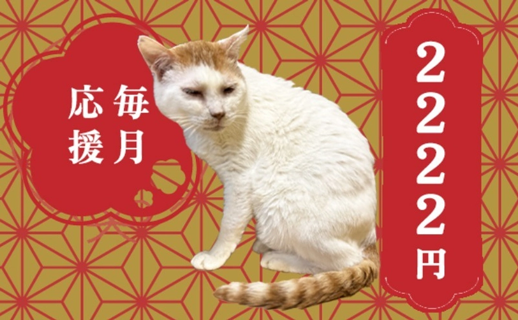 毎月応援にゃんにゃんコース