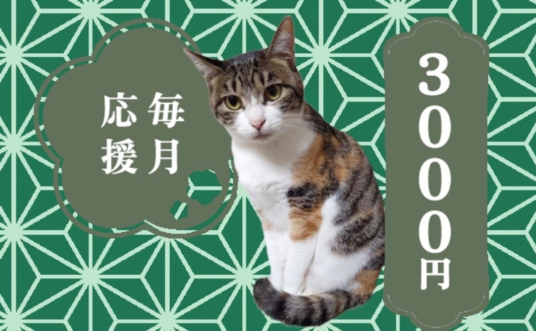毎月応援3000円コース