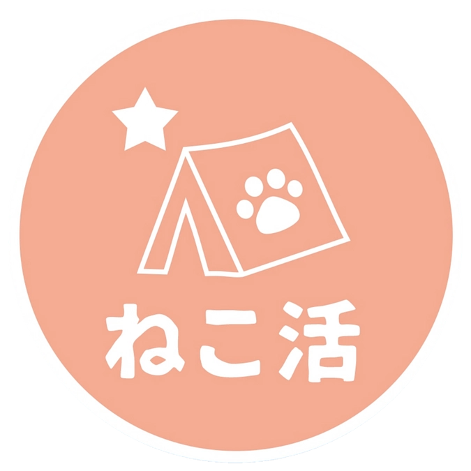 今年最後のご報告。1年間応援ありがとうございました。