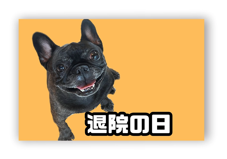 翌日退院できました