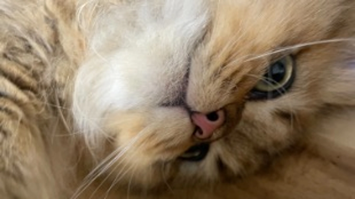 寒くなりましたね