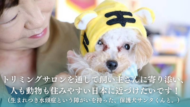 老犬、保護犬でも安心できる【啓発型トリミングサロン】を作りたい！ 9枚目