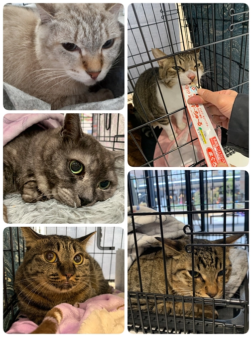 12月16日(土)のお見合い会のご報告