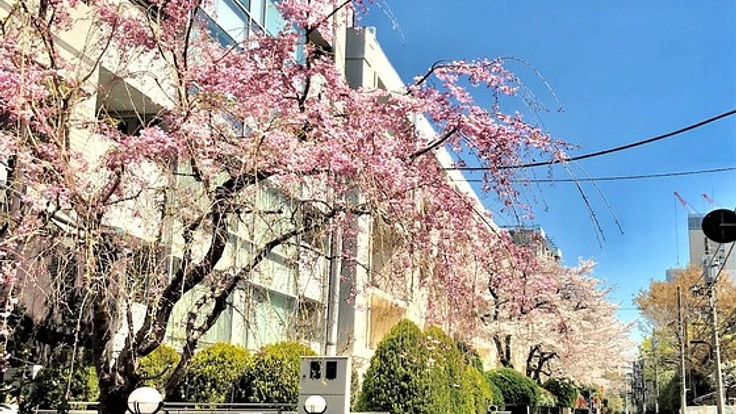 「番町憲章」を創り、番町の良い町並みを後世に遺すプロジェクト