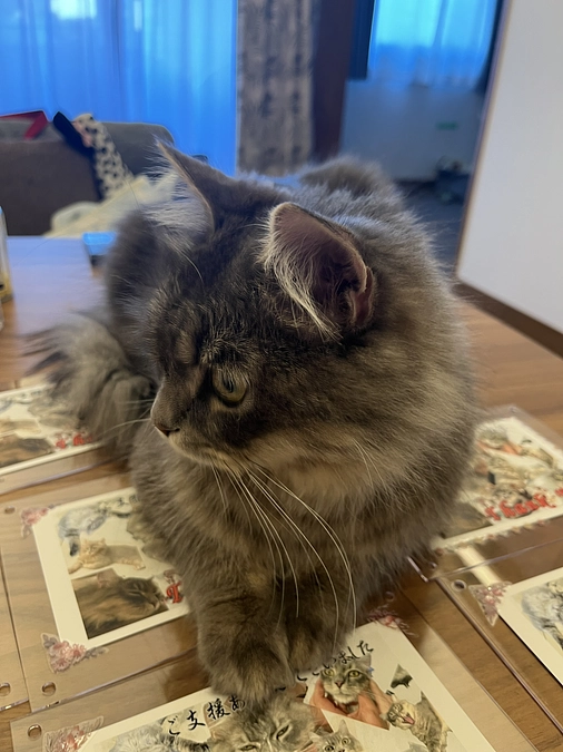 リターン作成しています✨