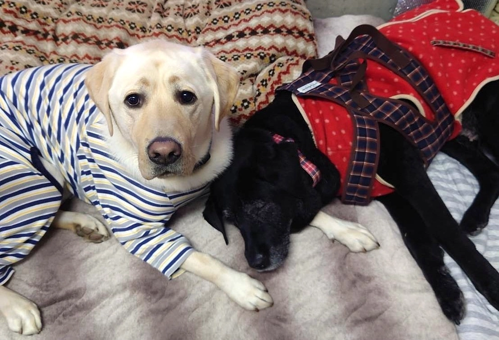 残り１日となりました！