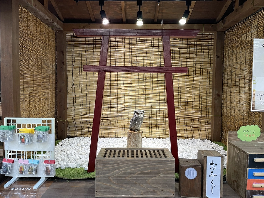 【新リターン追加！】アフリカオオコノハズク「ポン」ちゃんのバースデーイベント実施のお知らせ