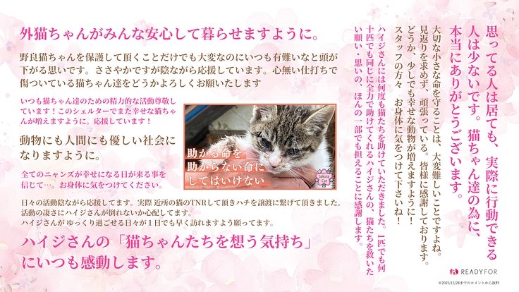 相次ぐ多頭崩壊。シェルター増設とTNRで不幸な野良猫を増やさない！ 6枚目
