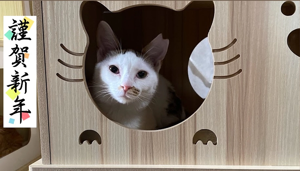 ２０２４が明けました