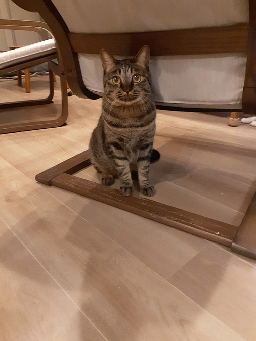 12月26日子供達の一泊二日ボランティア体験のご報告