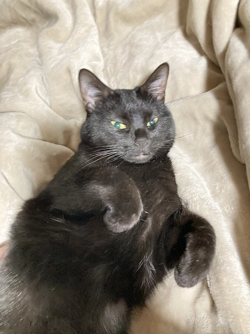 達成の報告とお礼🌸