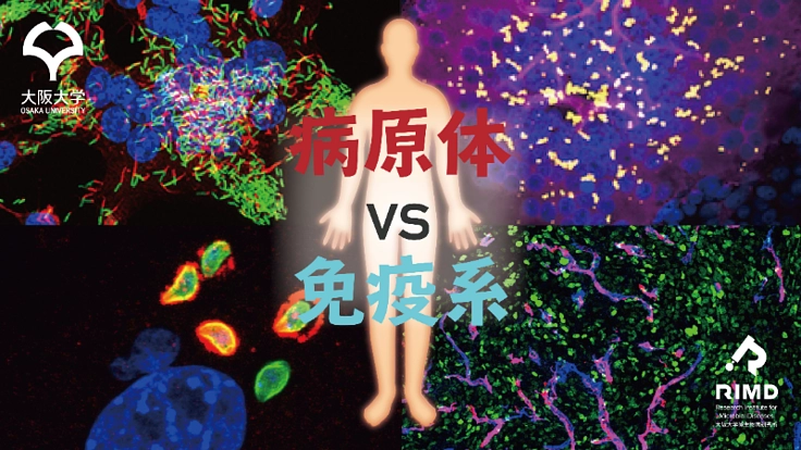 信頼できる情報で正しい知識を!感染症・免疫のWEB虎の巻制作