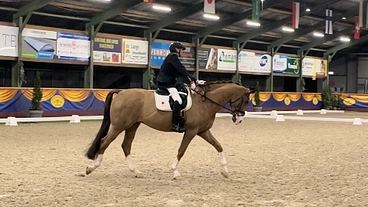 あと一歩です、夢の実現にみなさまのご支援をお願いいたします のトップ画像