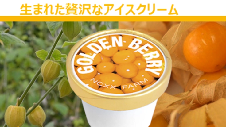 更なる美味しさを求めて。GOLDENBERRYアイスの商品化