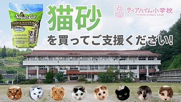 猫砂を買って保護ねこ施設をご支援ください！ のトップ画像