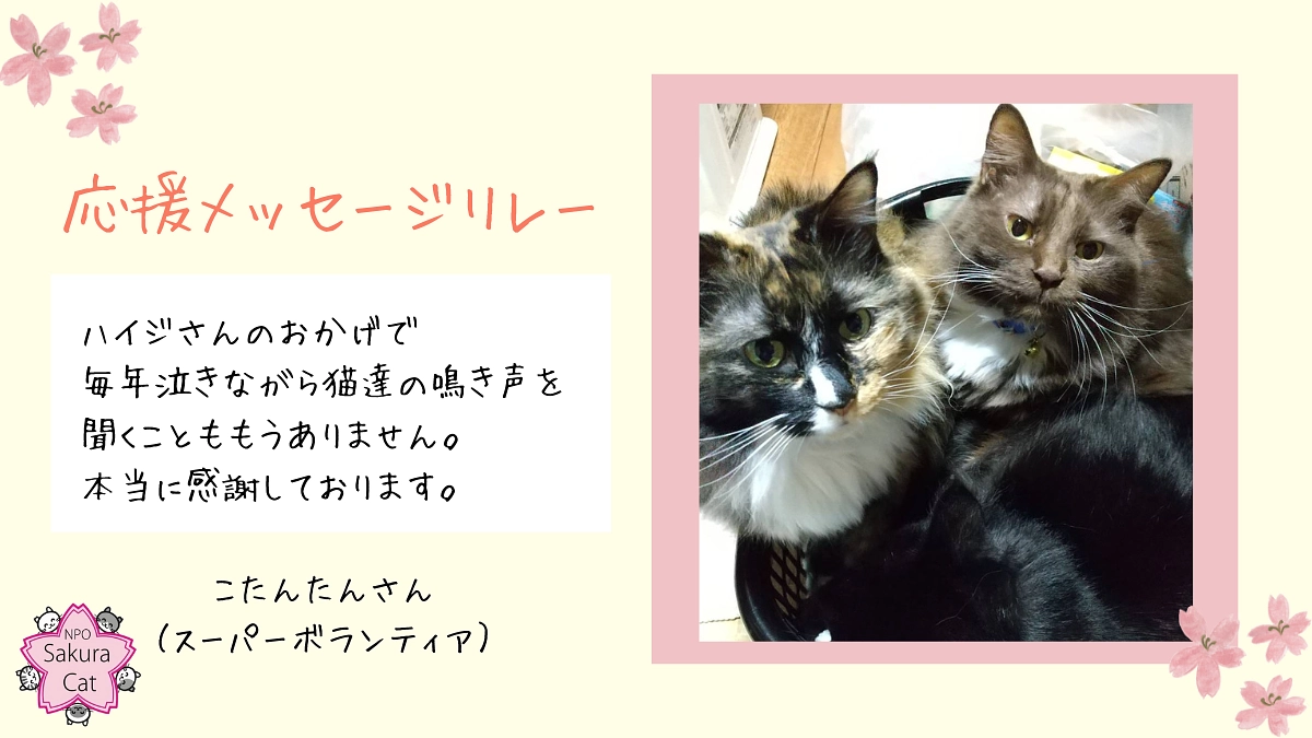 【達成まであと82万円！】スーパーボランティアリレーVol1（こたんたんさん）