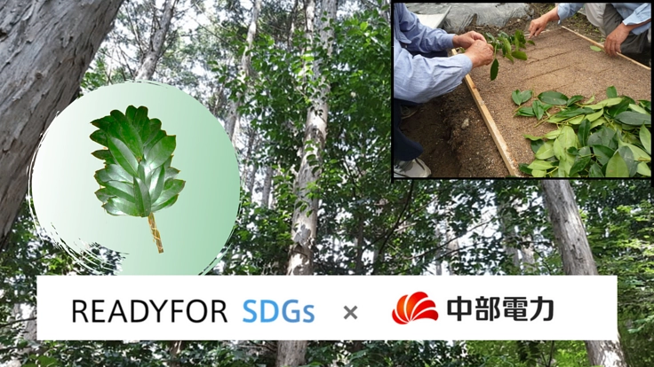 純国産天然榊で挑む村おこし！〜産業化に向けた実証実験始動へ〜