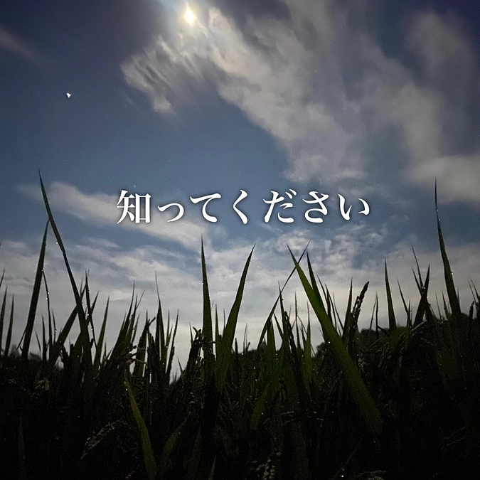 野犬と地域猫のこと。知ってほしい。