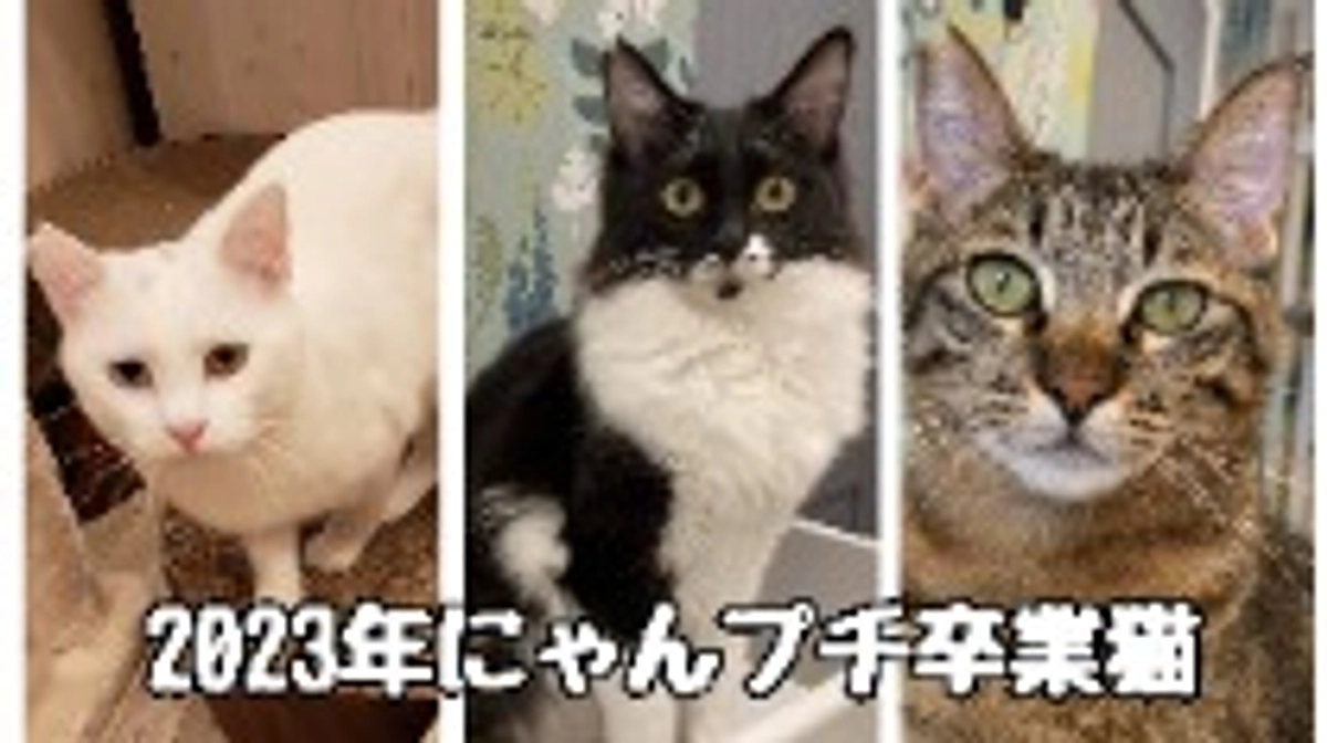 2023年、年末のご挨拶