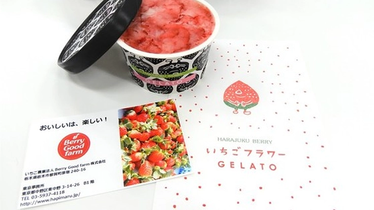 -果実よりも美味しく!!-いちごフラワージェラートの開発第一歩★