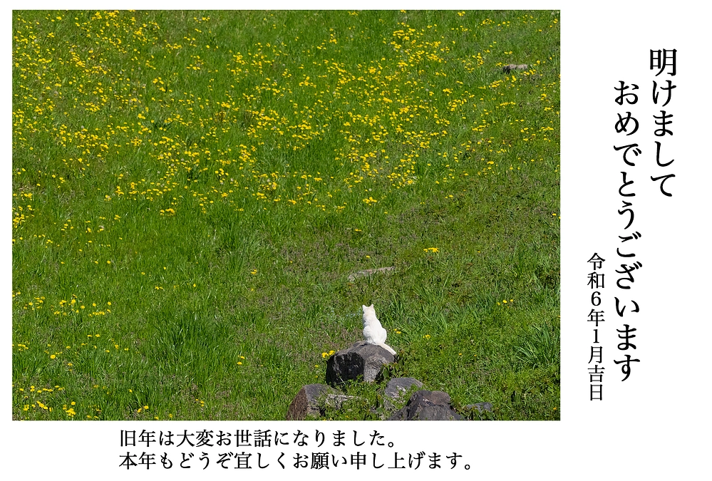 ２０２４年　あけまして　おめでとうございます