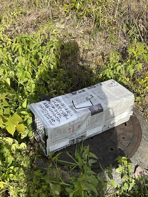 能登半島地震で被害にあわれた方々、動物たちへのお見舞いを申し上げます