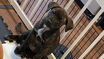 フランチャイズから始める支援活動と会社の立ち上げ のトップ画像