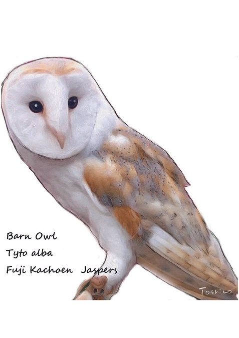 大切なヤスパースの思い出