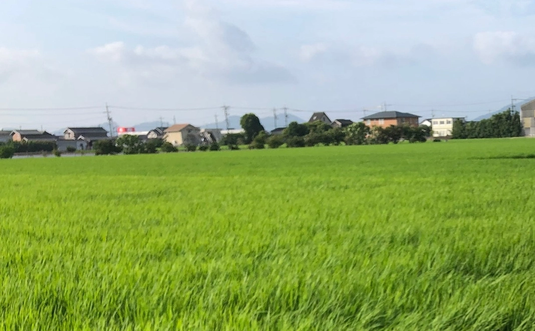 Bコース/岡山米(新米)1kg