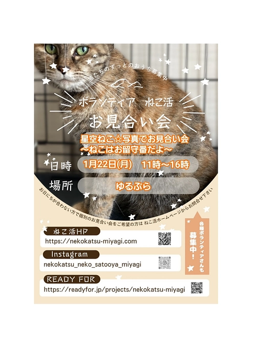 明日の☆星空ねこ写真でお見合い会☆について