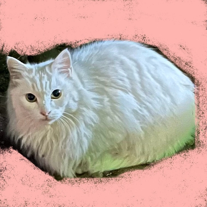 新しい現場はカオス