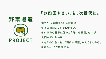 「お四国やさい」を、次世代に。『野菜遺産プロジェクト』 のトップ画像