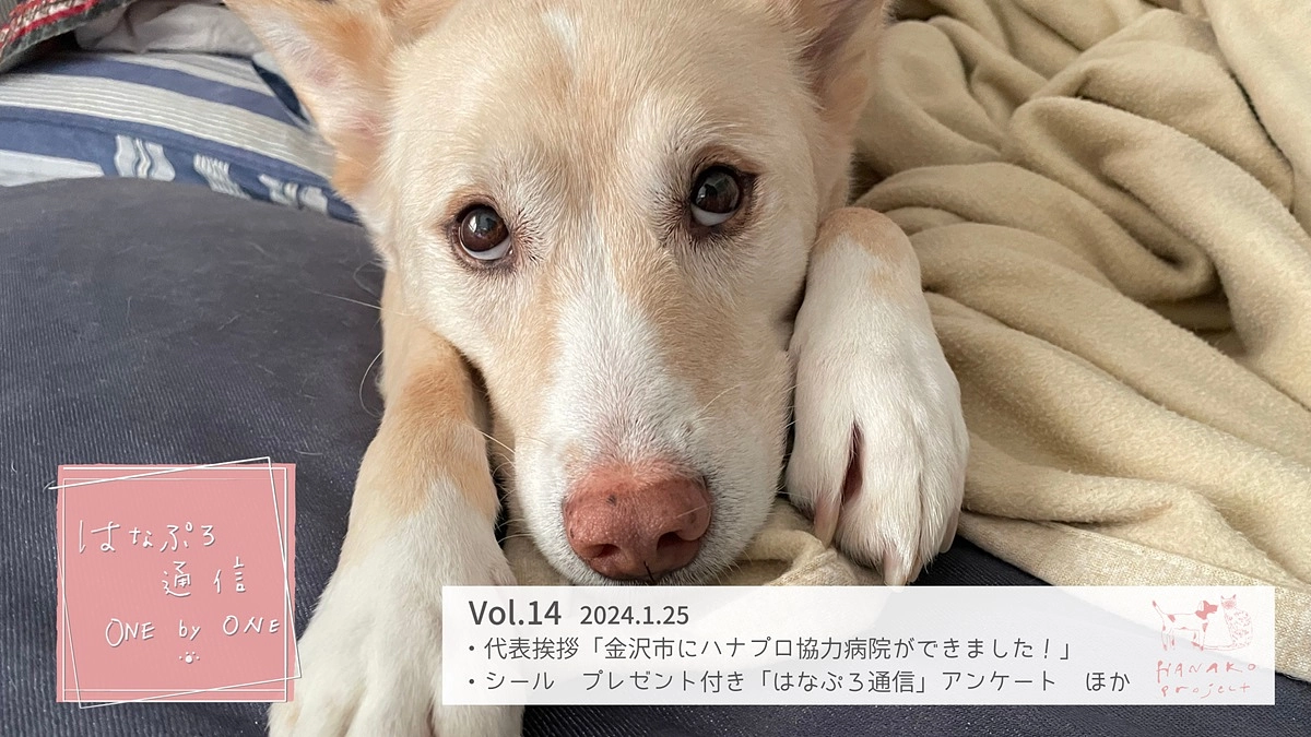 「はなぷろ通信 one by one」Vol.14