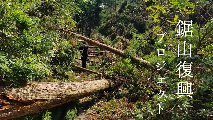 度重なる台風で甚大な被害を受けた鋸山、復活に向けた挑戦！