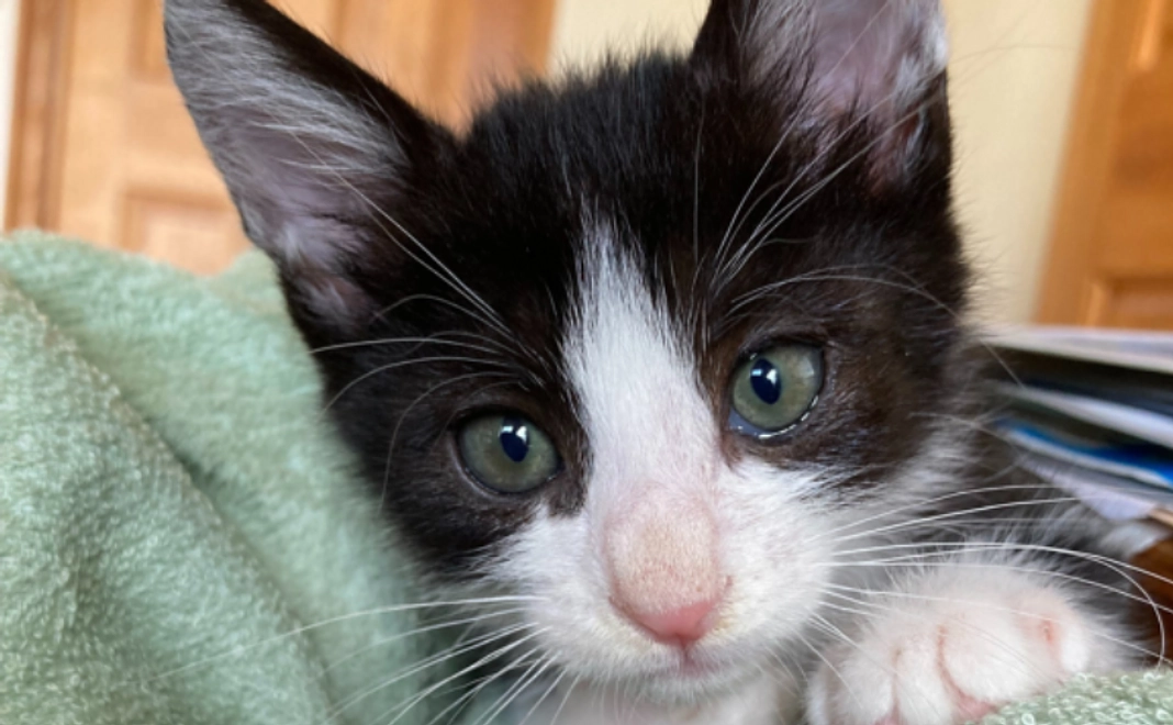 【リターン不要】全力応援コース｜1万円