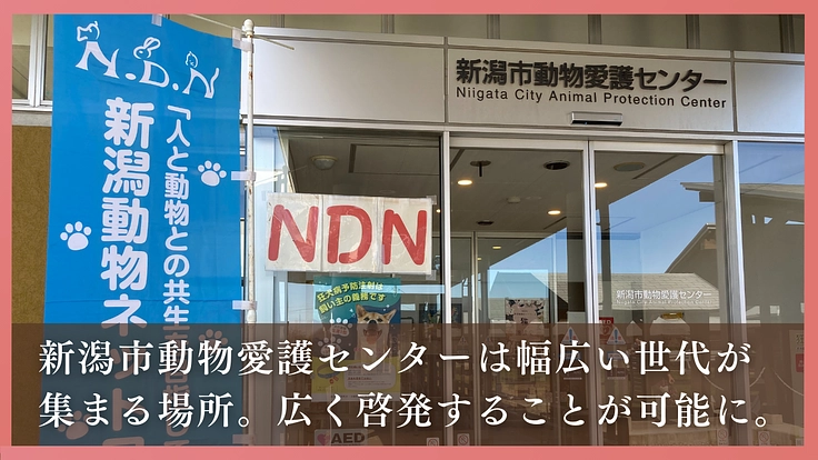 多頭飼育崩壊に歯止めを！行政施設内に「不妊手術専門病院」の開設へ 5枚目