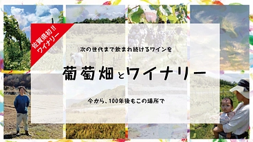 佐賀県発！唐津でワイナリーをつくりたい のトップ画像