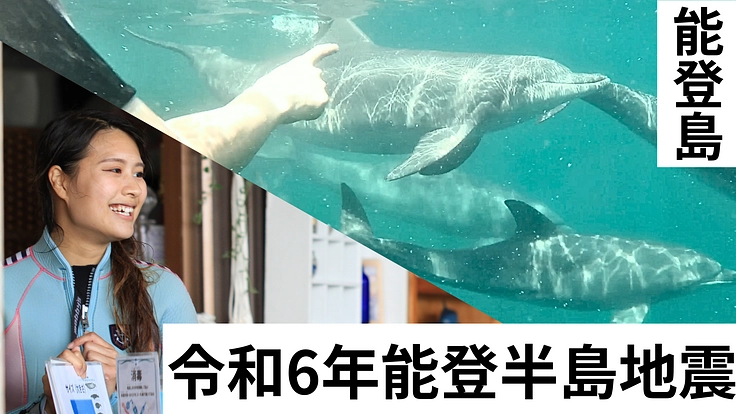 能登半島地震・野生イルカと泳げる希少な場所とガイドを存続させたい。
