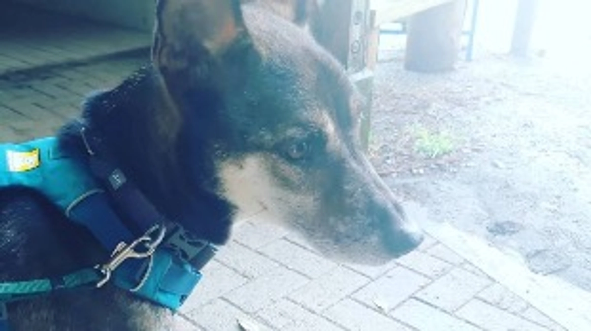 愉快な仲間たちT様から応援メッセージをいただいております！