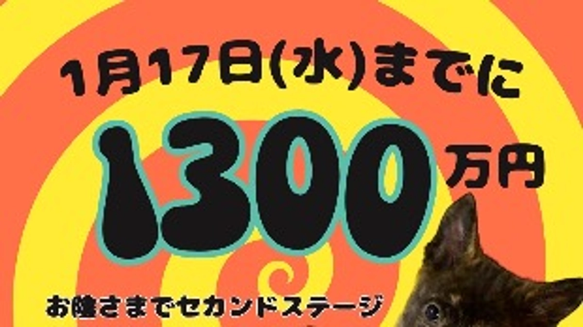 新シェルター稼働のために2,000万必達したいです‼︎皆さまの支援応援の力が頼りです🙇‍♂️