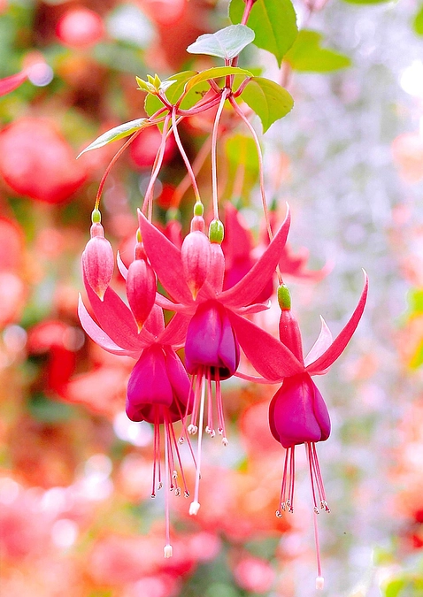 第1目標達成のお礼と今後の目標について