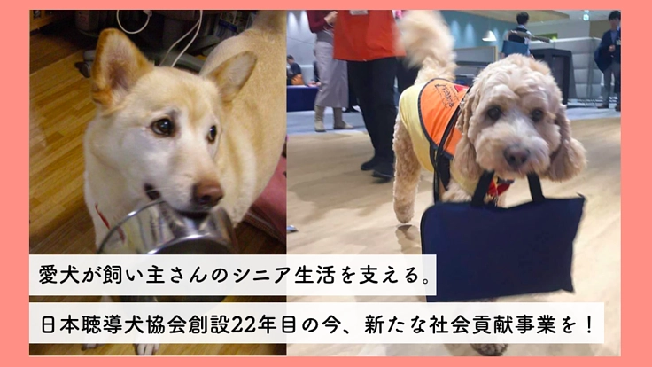 待ったなしの超高齢社会。シニアサポート犬モデルづくりへ向けて