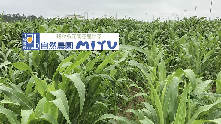 地産地消の天然甘味料で、働きたい障がいのある人の就労機会を