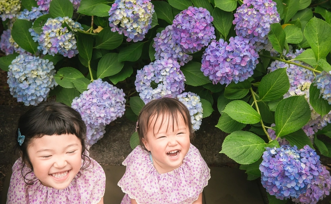 お気持ちコース