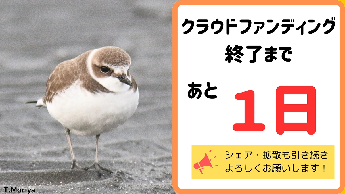 クラウドファンディングも【残り1日】となりました！