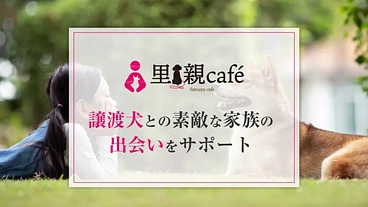 繁殖引退犬マンスリーサポーター！第2の「犬生」を幸せにするお手伝い のトップ画像