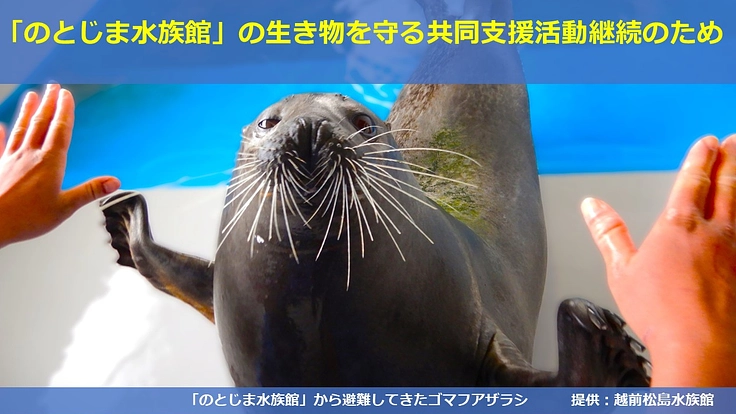 「のとじま水族館」の生き物を守る共同支援活動継続のために！