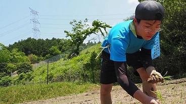 ヨーロッパで農業を学び，日本の農業を未来につなげる のトップ画像