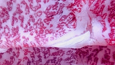 能登半島地震による復興支援の為の特産品のマルシェ販売 のトップ画像